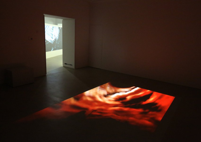 Sonny Sanjay Vadgama